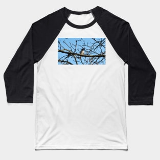 A Blue Jay Perched On a Tree Branch Baseball T-Shirt
